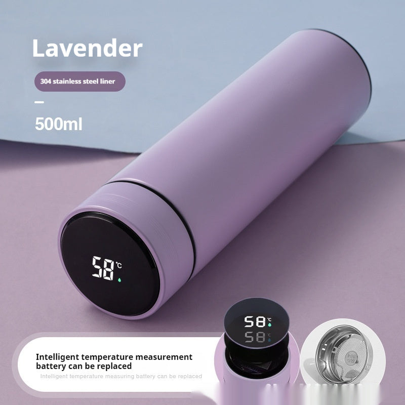 EverEase Smart Bottle - 500ml LED Thermal Flask